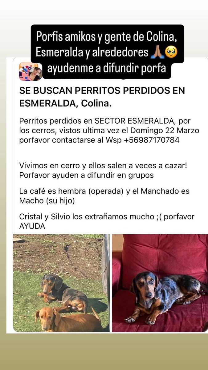 Atención #Colina buscan a Cristal y Silvio. Favor RT! Gracias