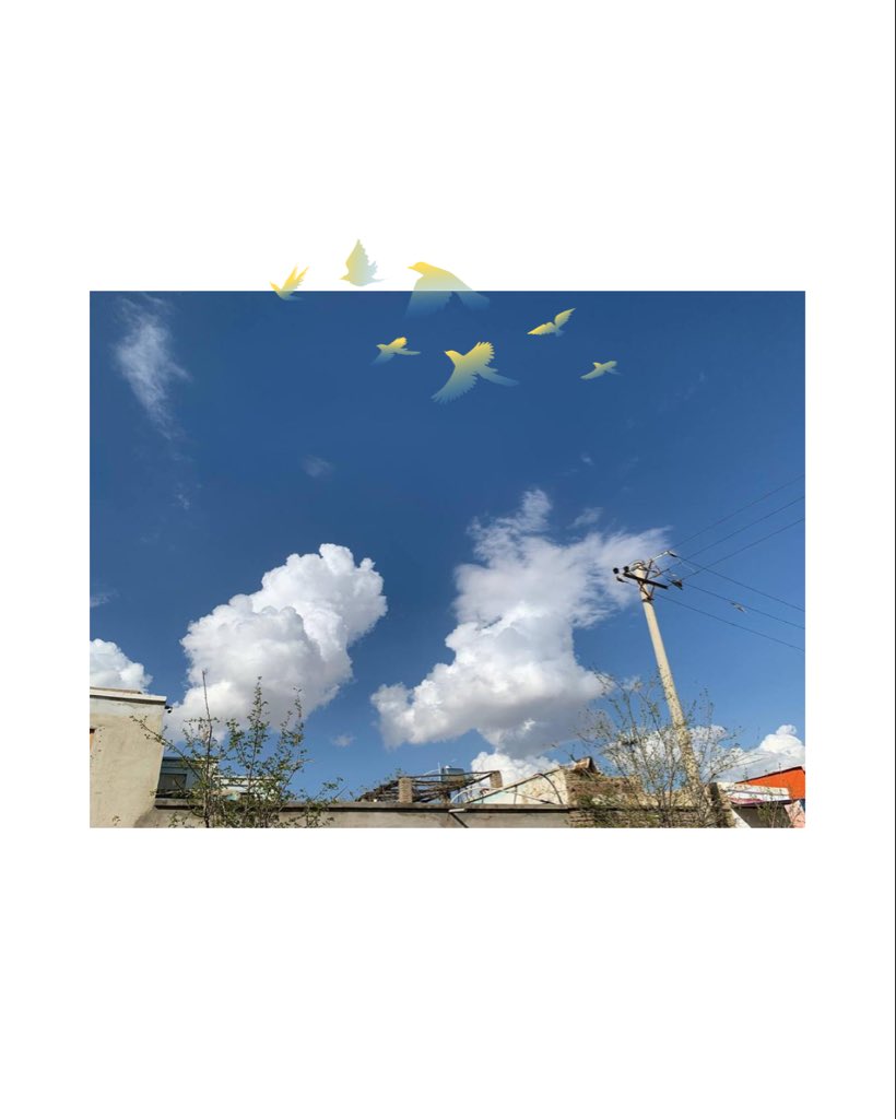 بهار از نگاه شاگردان دریچه 
فصلی که با خود رنگ، امید و نفس تازه می‌آورد. این عکس‌ها، لحظه‌هایی‌ست که شاگردان ما از زیبایی‌های بهار ثبت کرده‌اند؛ روایت‌هایی ساده اما پر از حس زندگی و شروعی دوباره.