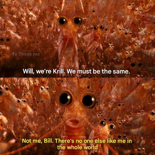 TRAFON(s Backup Account) tweet media