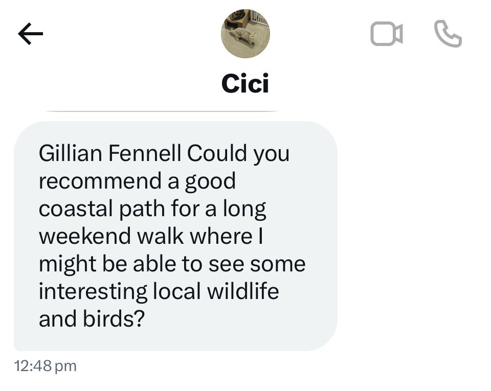 Gillian Fennell tweet media