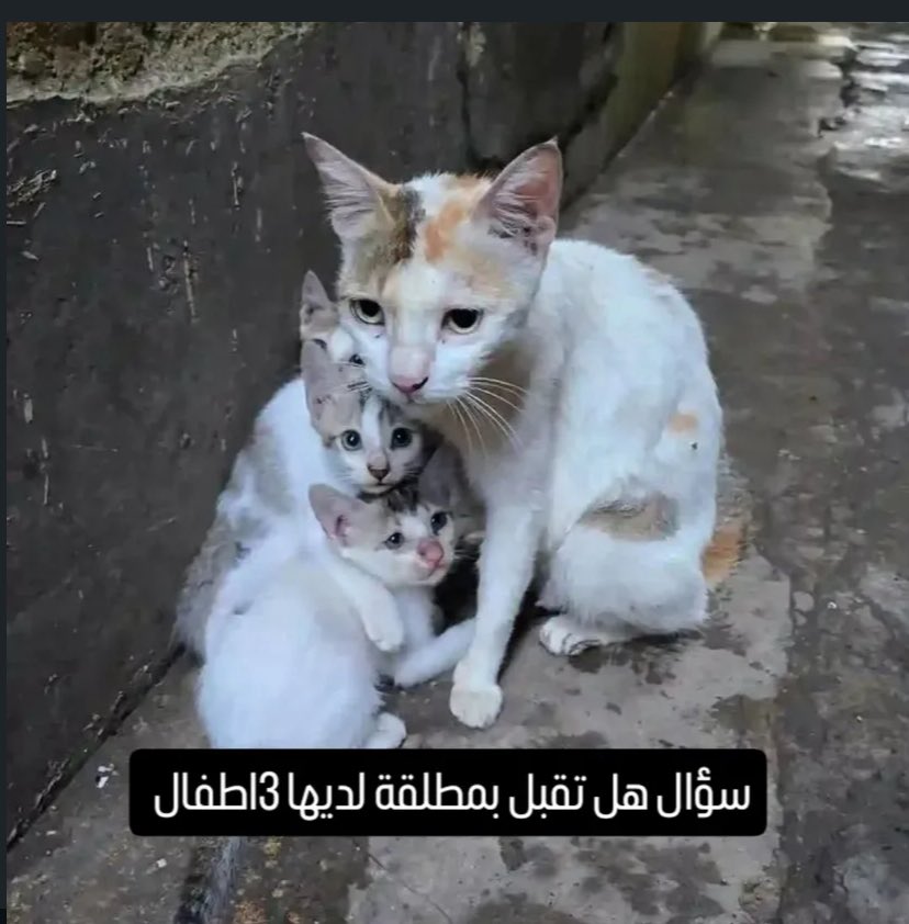 اقبل ورجلي علي راسي