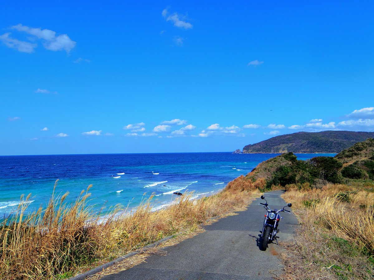 #ひつじ# tweet media