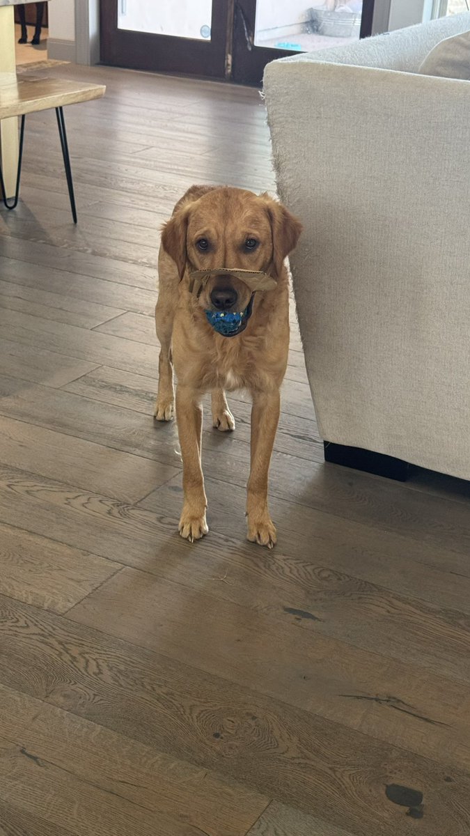 Donut Operator 🍩 tweet media