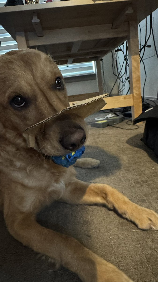 Donut Operator 🍩 tweet media