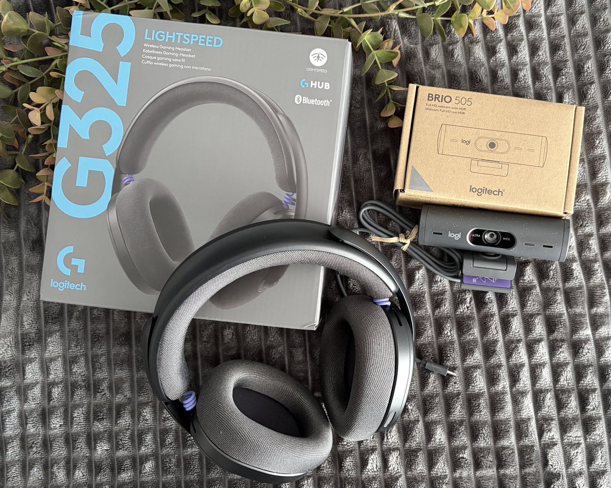 mei | alba c. bonachera tweet media