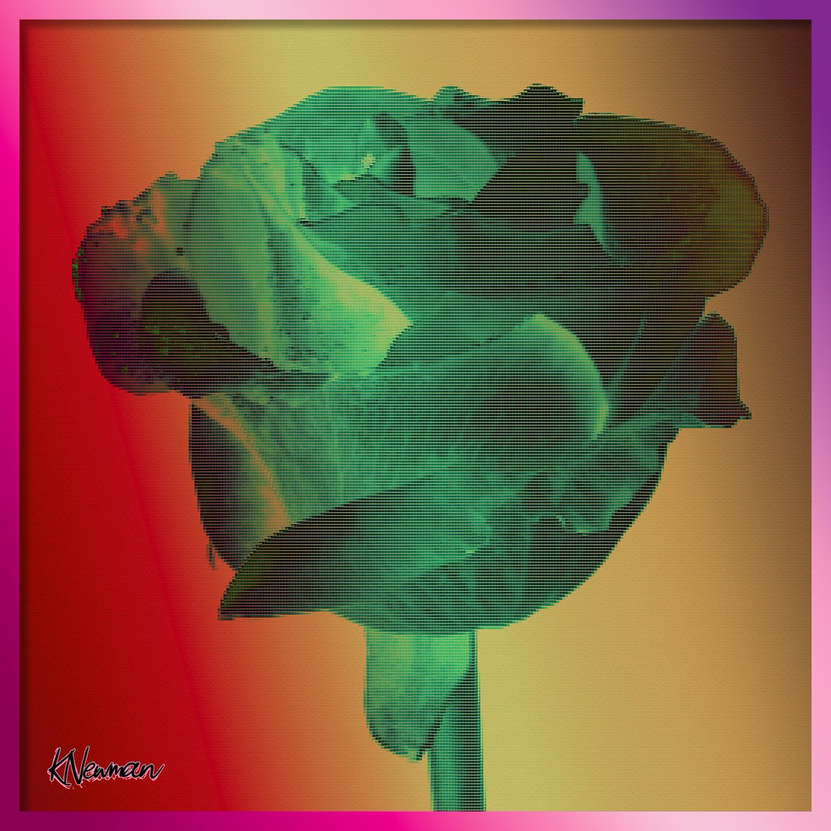 Kenneth Newman tweet media