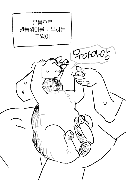 🥞지갈🥞 tweet media