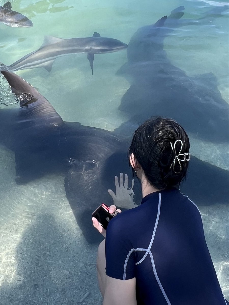 Catherina Vallencia tweet media