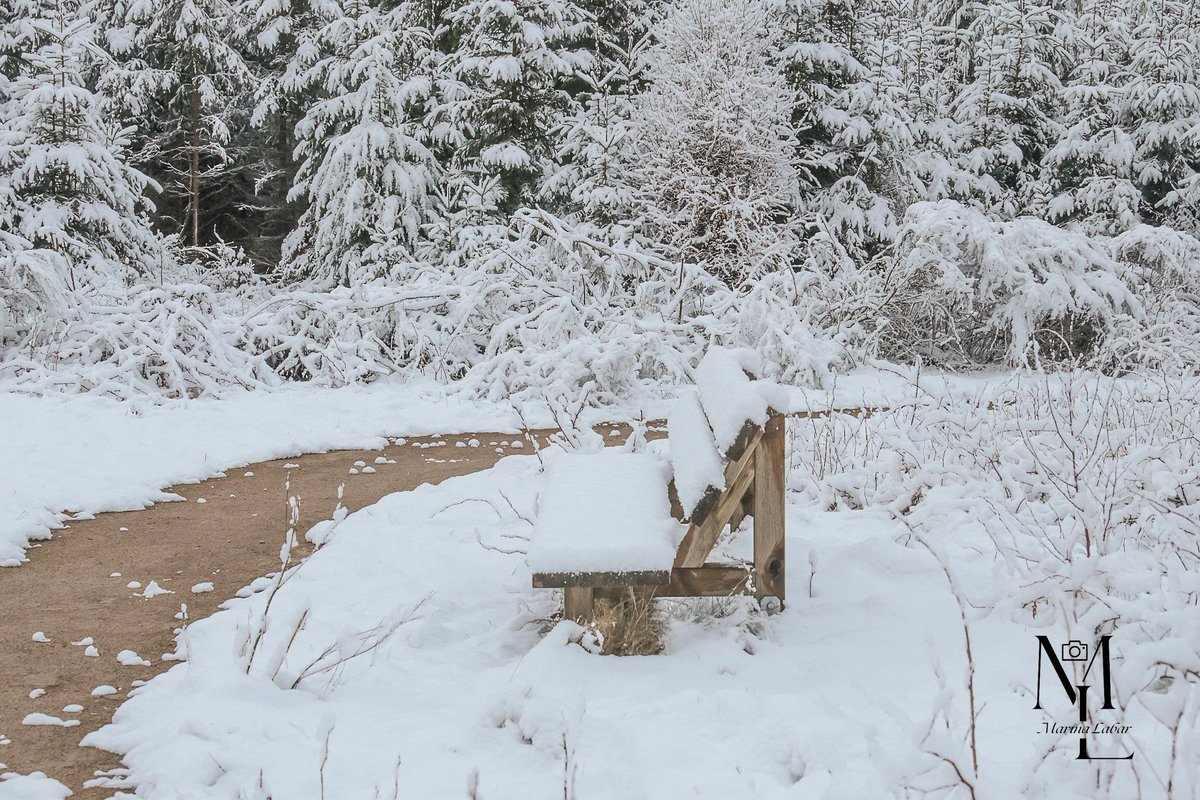 Meteovilles's tweet image. ❄️ La couche de #neige est assez épaisse sur les hauteurs de l'est de la #Belgique où les #giboulées s'enchaînent depuis hier. Clichés pris depuis #Vielsalm vers 600 mètres d'altitude. (photos Marina Labar)