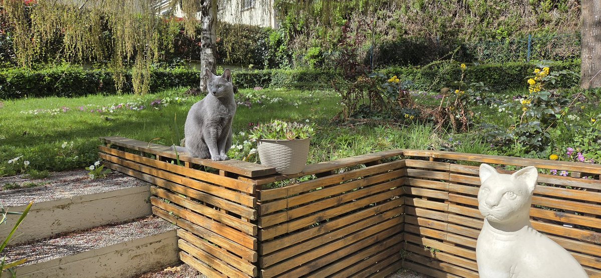 Jean-Michuu tweet media