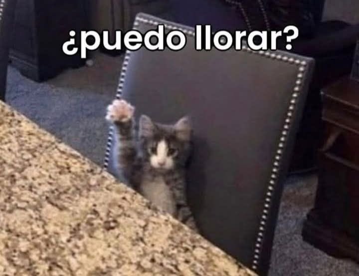 Neris_💬💤 tweet media