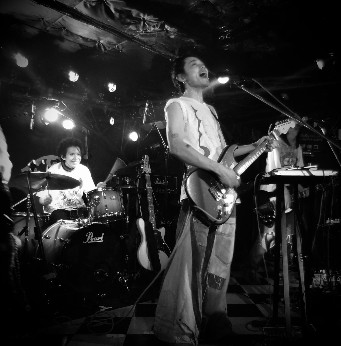 ネコみ tweet media