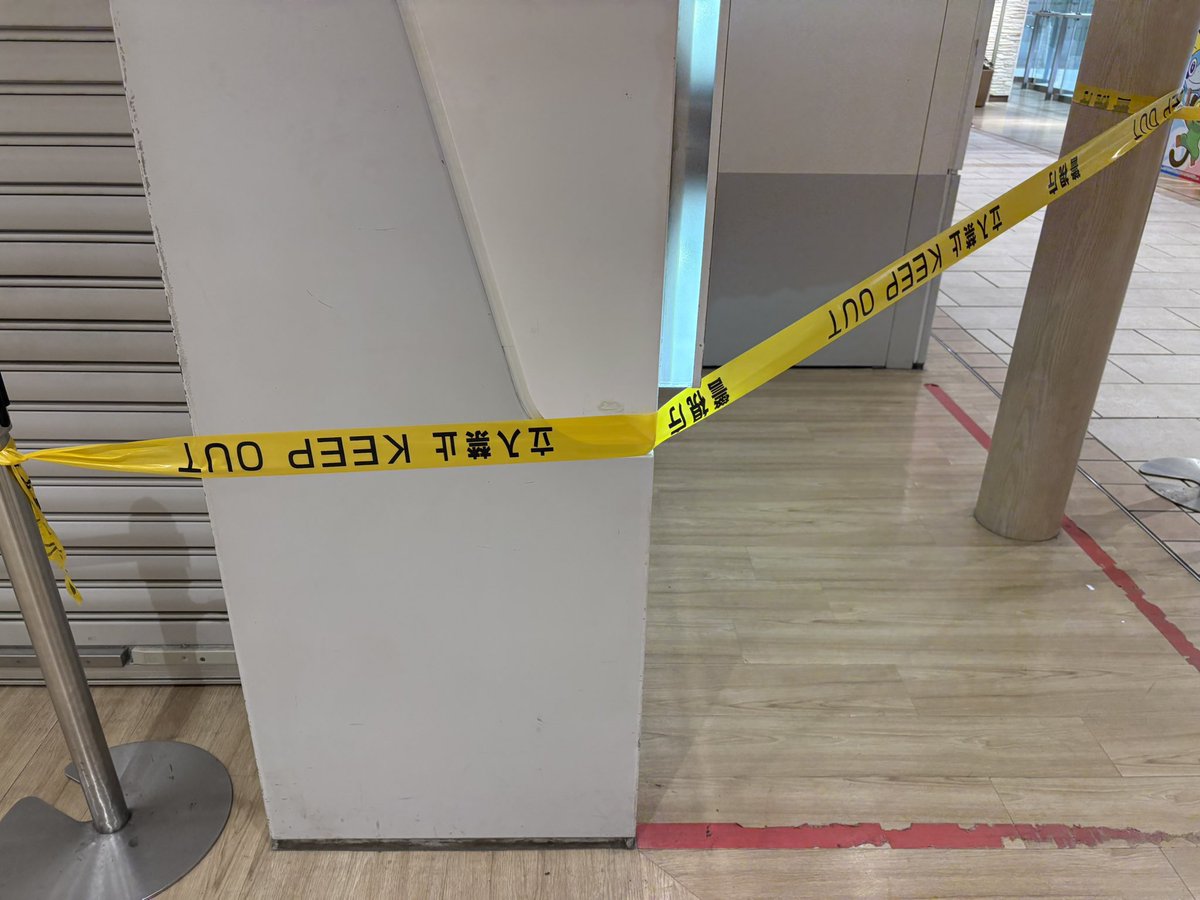 ポケモンカード総合情報 | (Meisy) tweet media