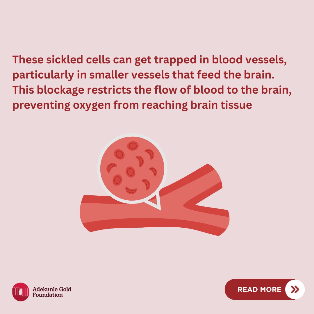 Adekunle Gold Foundation tweet media