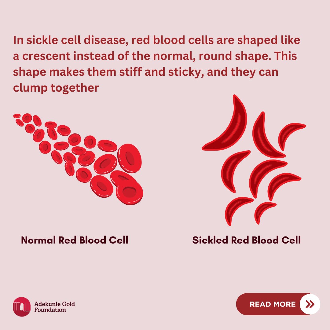 Adekunle Gold Foundation tweet media