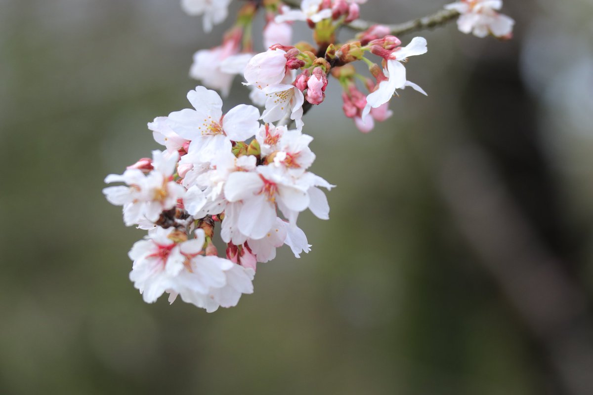 たけひで tweet media