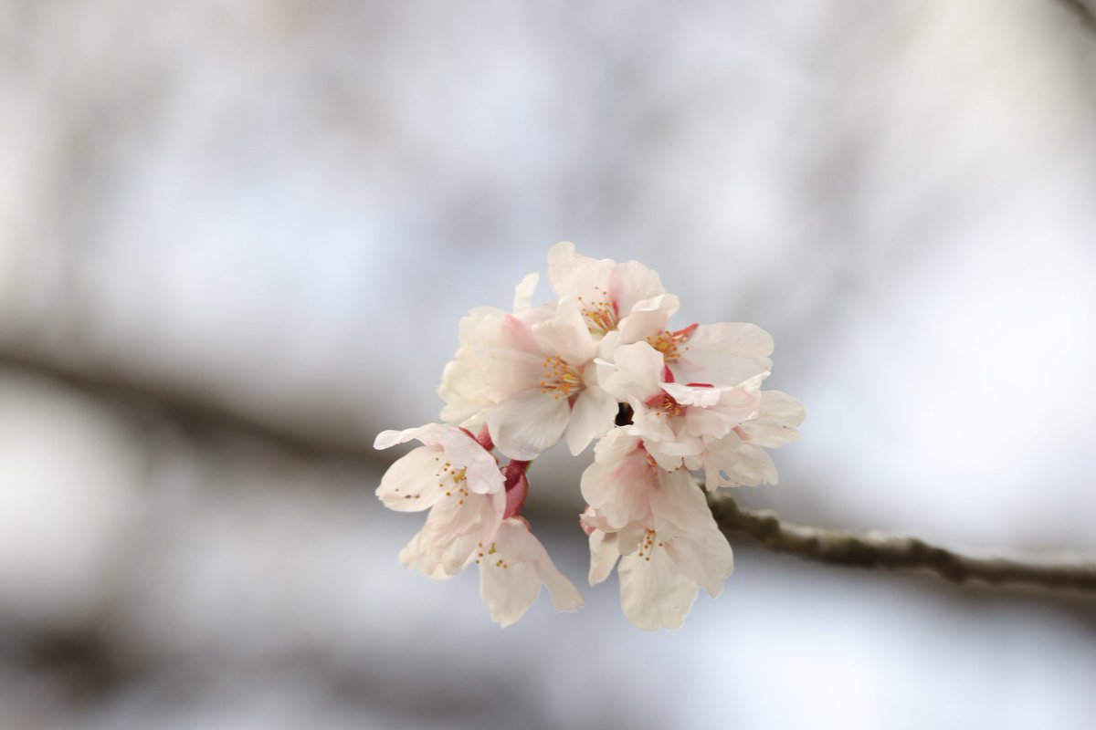 たけひで tweet media