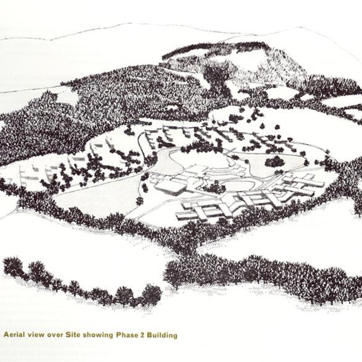 University of Stirling tweet media