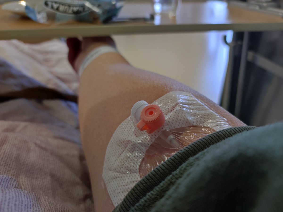 Petra Coret, 🍅🐕🦺 tweet media