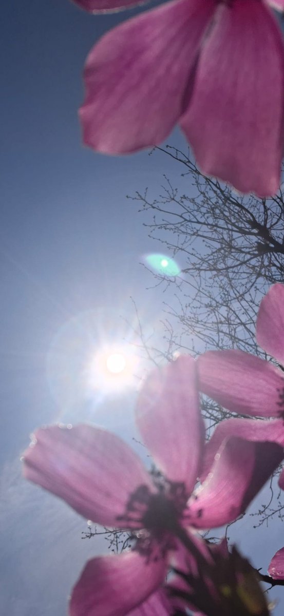 Sebukona 💫💫💫 tweet media