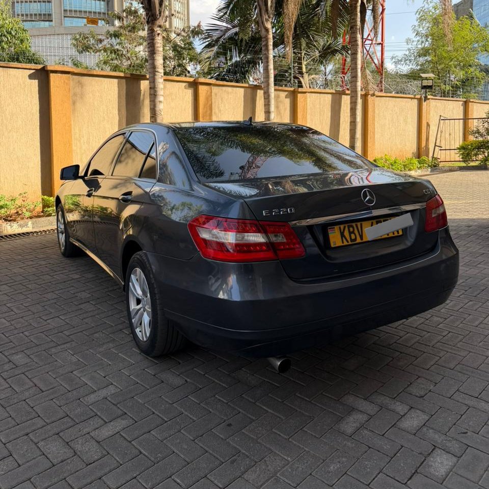 Kamùdù Dragon tweet media