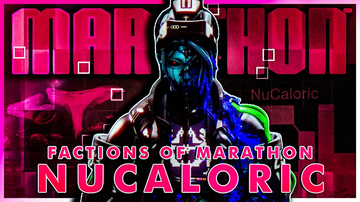 WiseFish🐟 tweet media