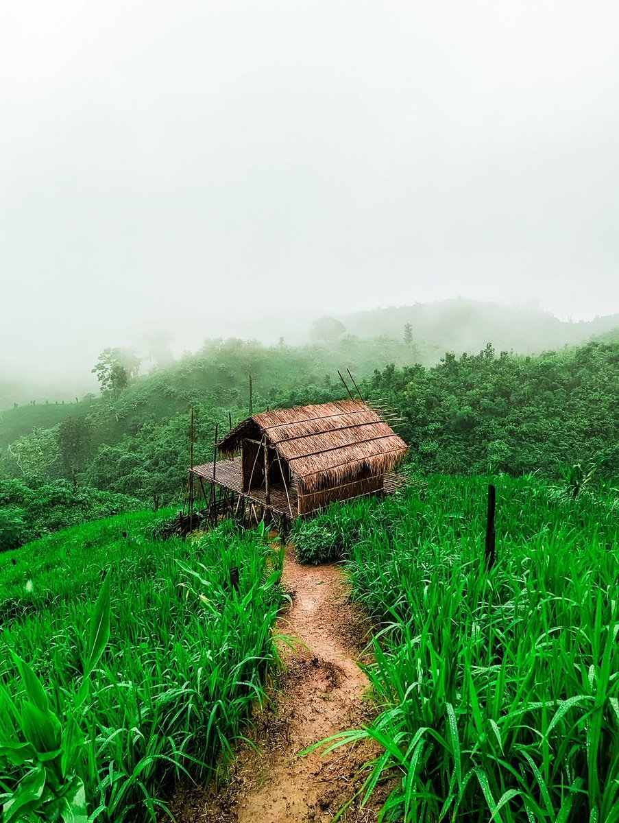 Lost in the right direction 🍃⛰️
.
.
.
.