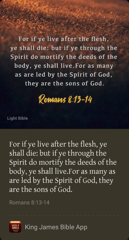 Weeb ✝️-KJV only tweet media