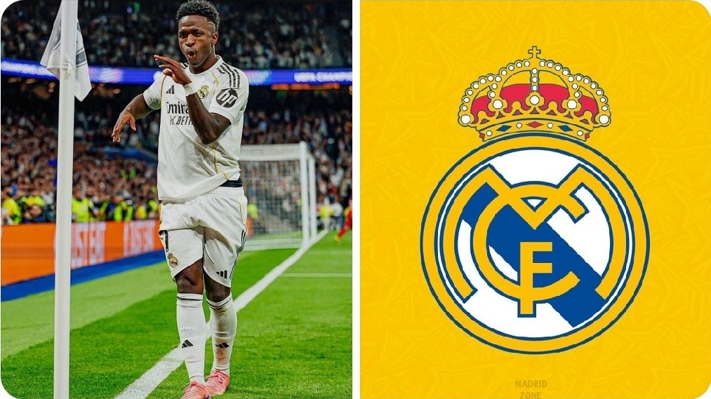 Alicanuchi tweet media