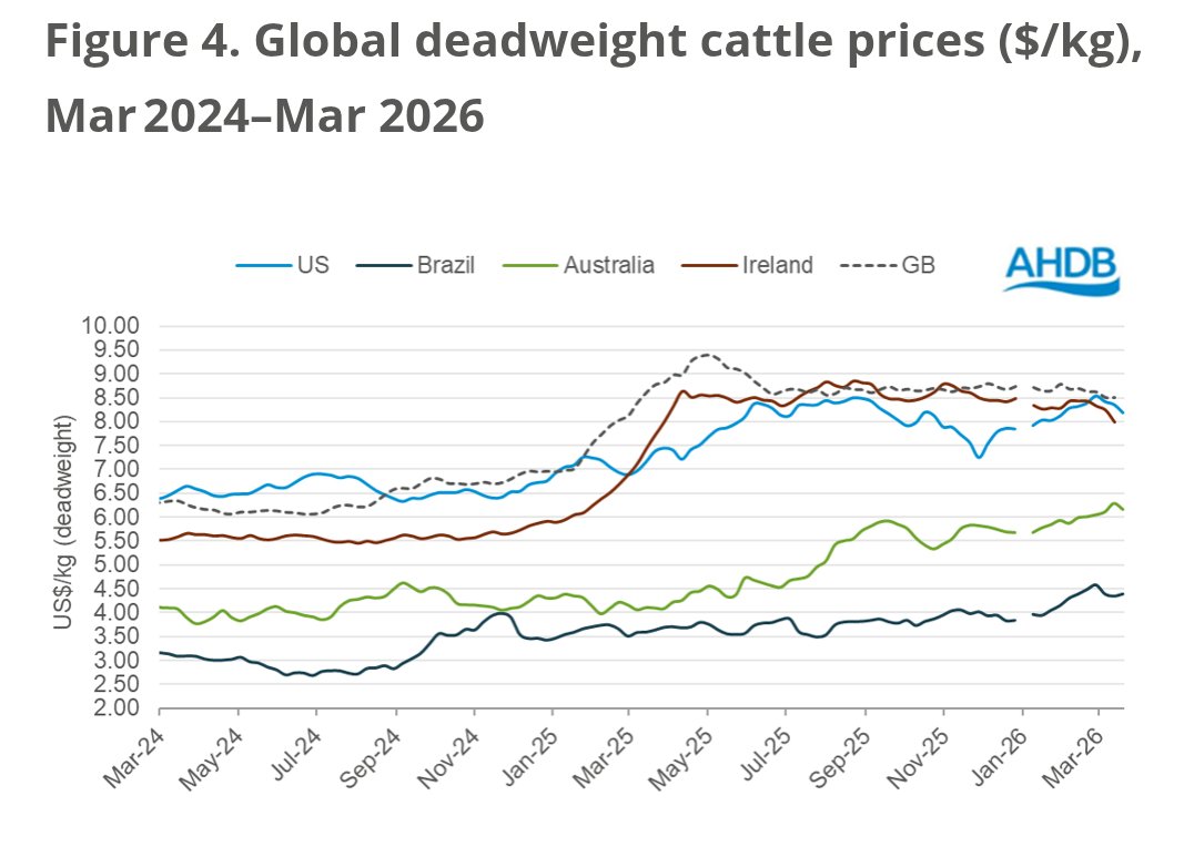 Bob Campbell tweet media