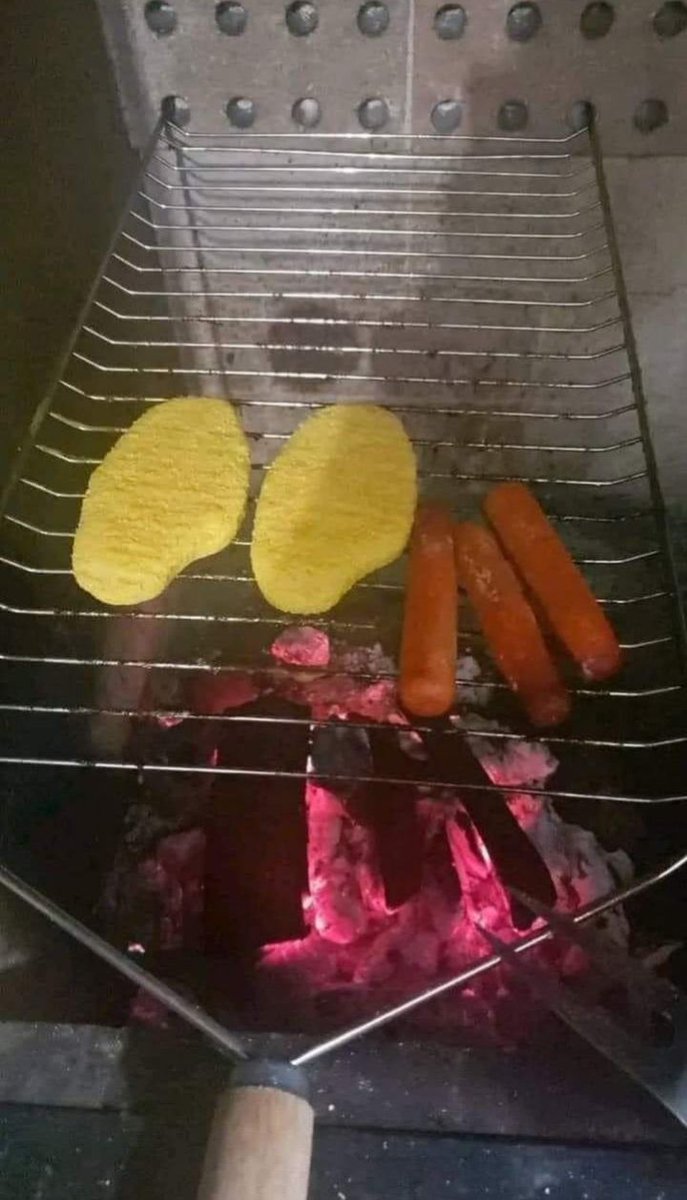 𝓝orr 🦇 fuligem ᵃˡᵗ tweet media