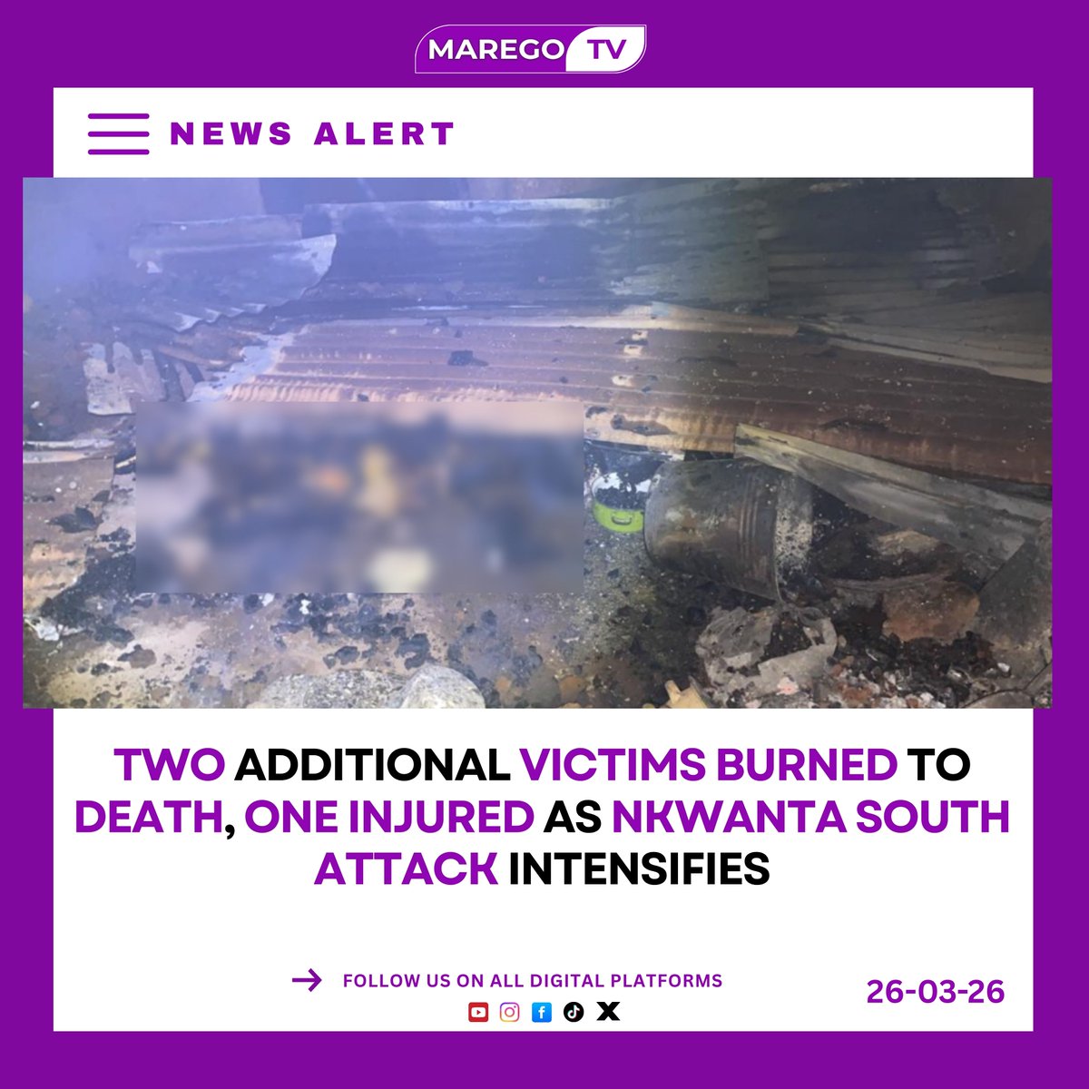 Maregotv tweet media