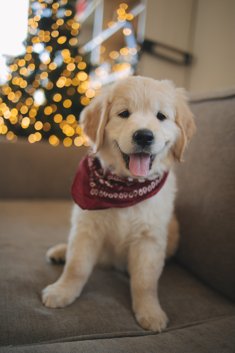 Harrison Shore tweet media