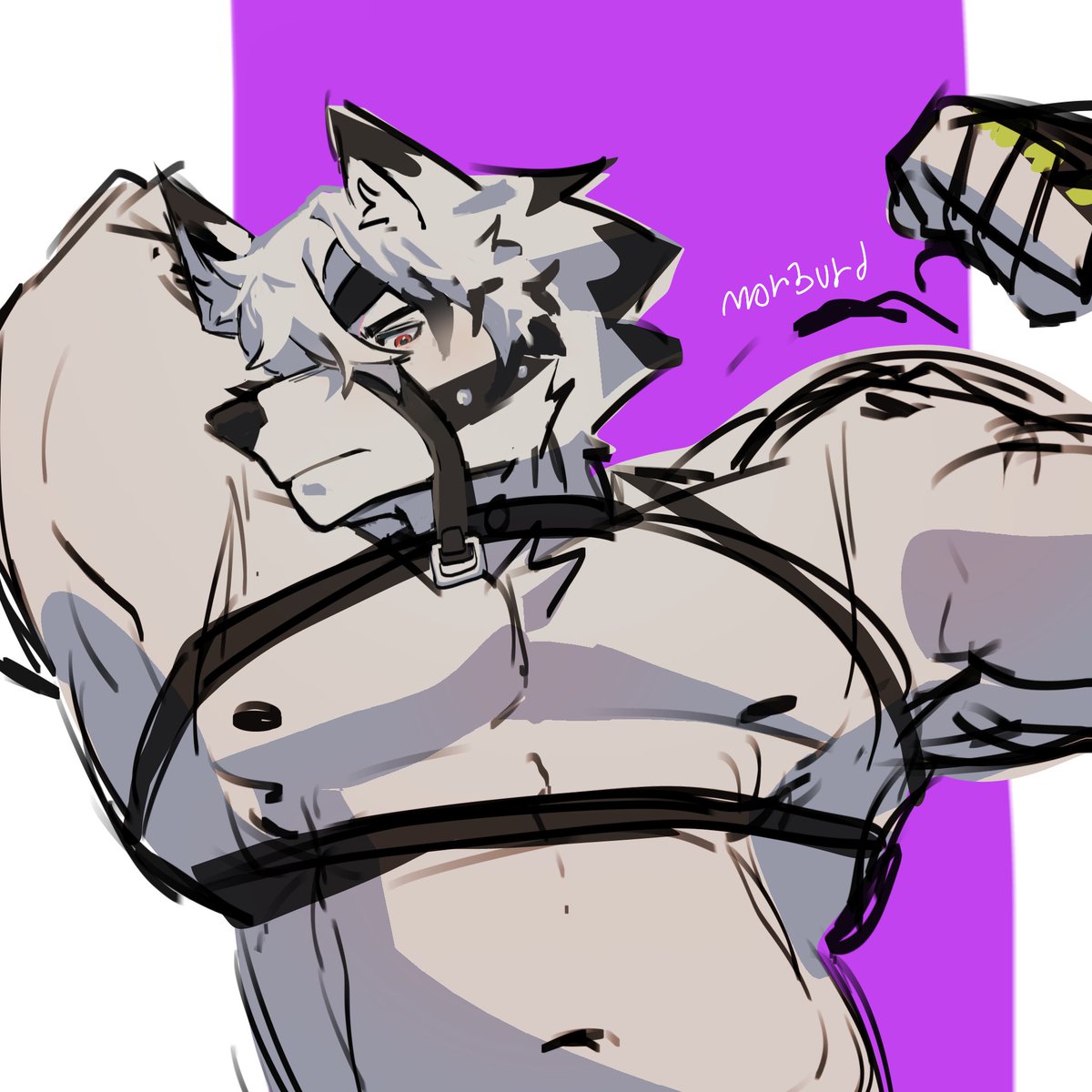 _morburd_CMMS OPEN tweet media