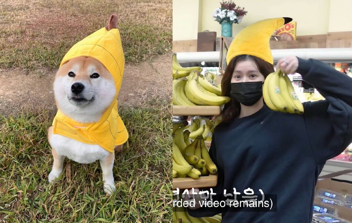 l.by__noah💟🐹🦊🐕 tweet media