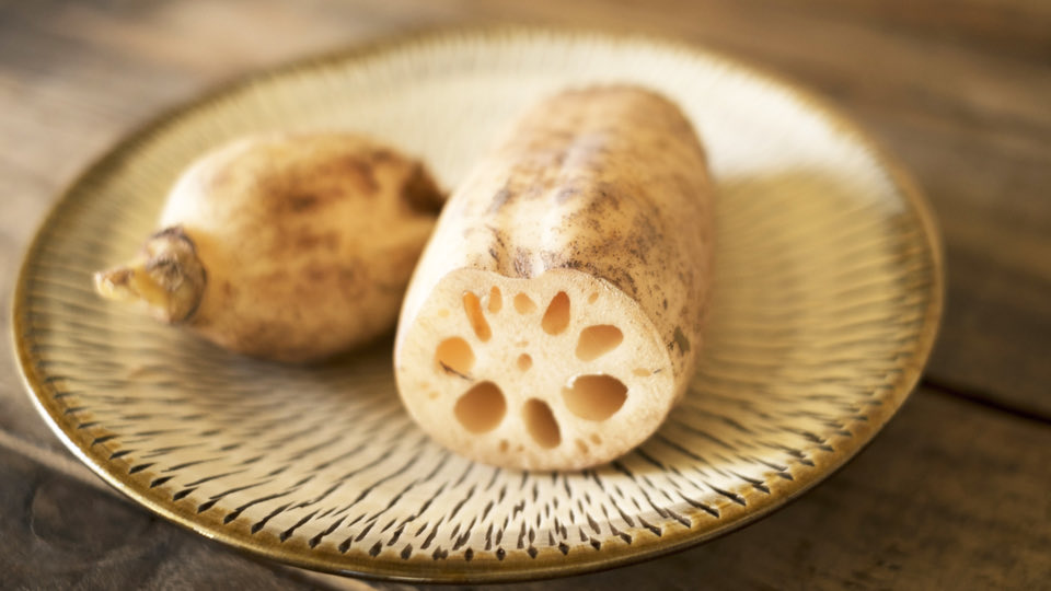 ME_LEON🦎 tweet media