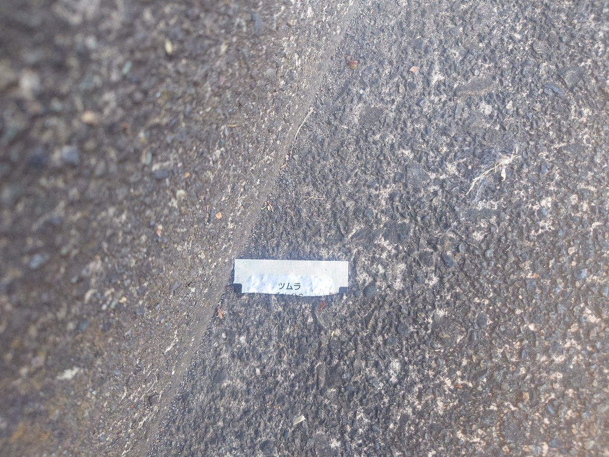 プレミアムさん tweet media