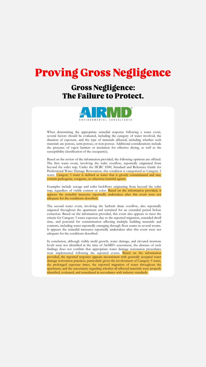 Gailina⚔️ tweet media