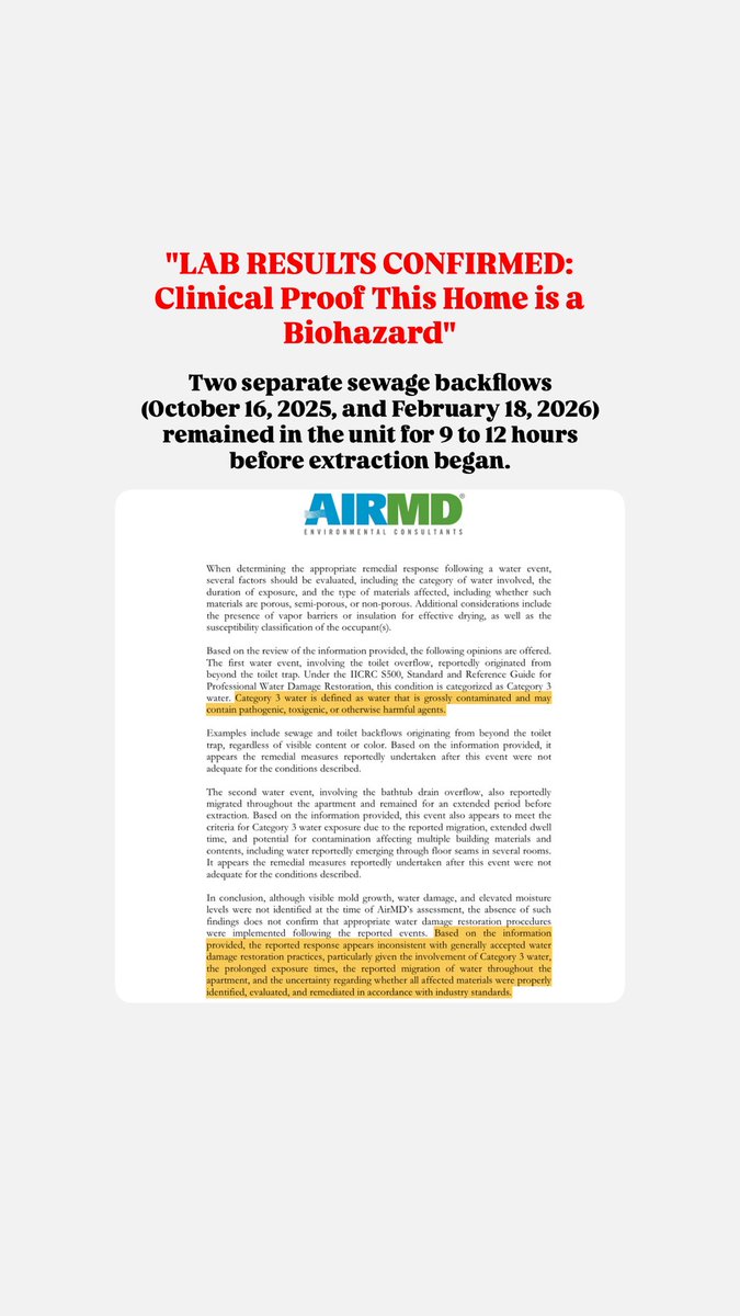 Gailina⚔️ tweet media