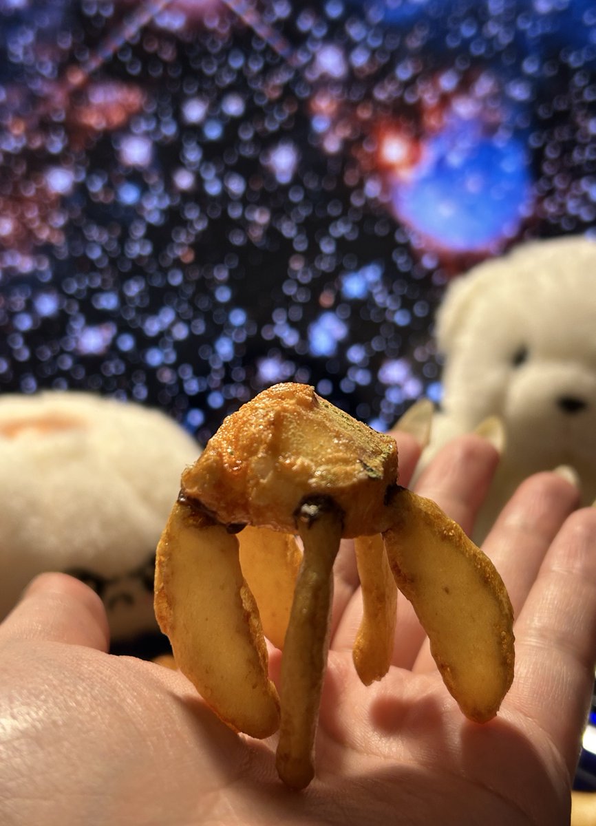 トウリ tweet media