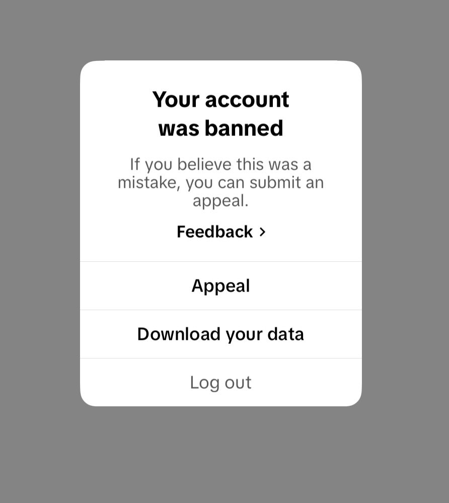 Kristy Legendre tweet media