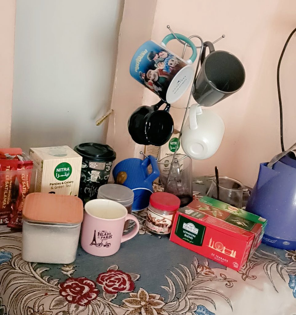 Hanen Karem tweet media