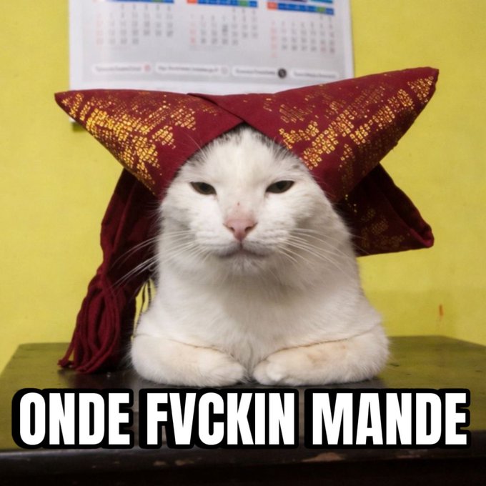 Jualminiricebowl tweet media