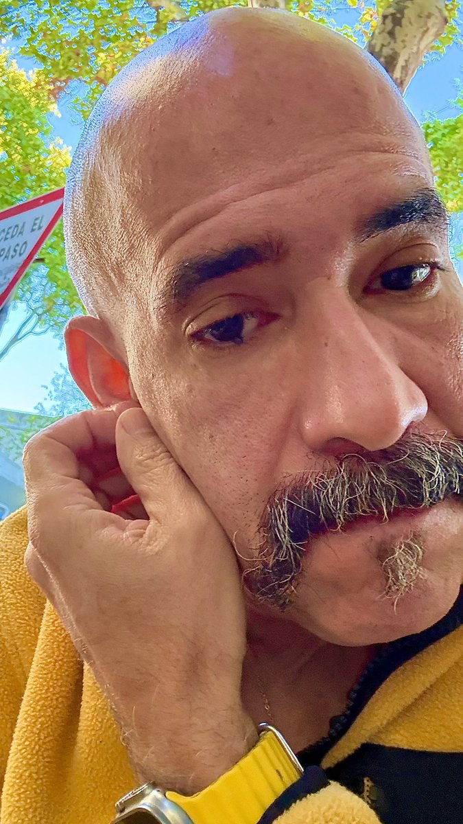 Alejandro Ferrer tweet media