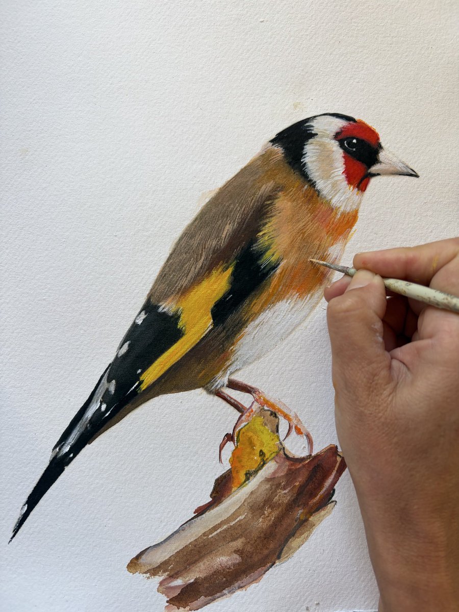 Cristina Vázquez tweet media