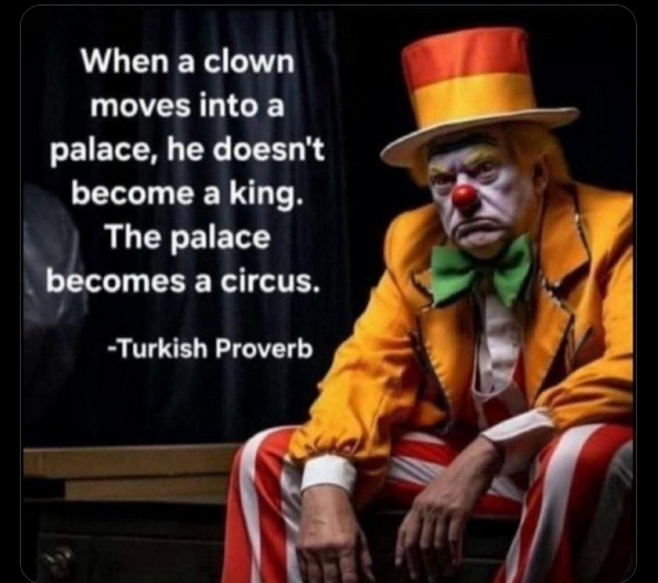 Juha Sarakaila, NAFO-fella tweet media