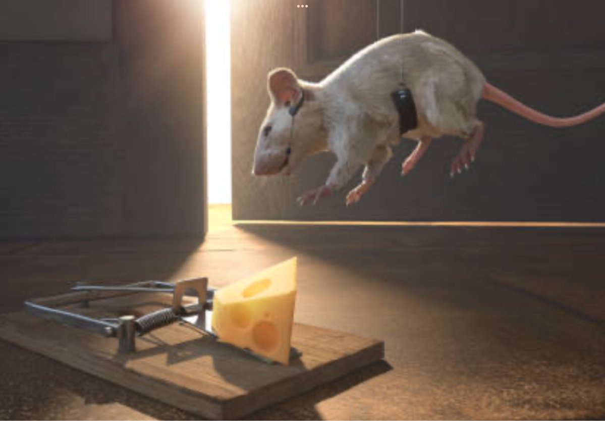 TheBobaloos tweet media