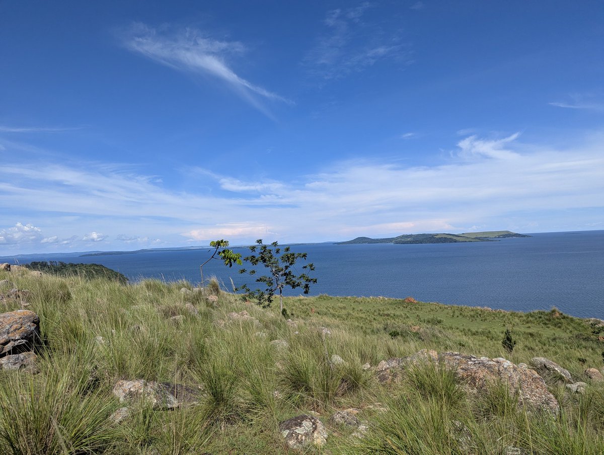 Douglas Mukwaya. tweet media