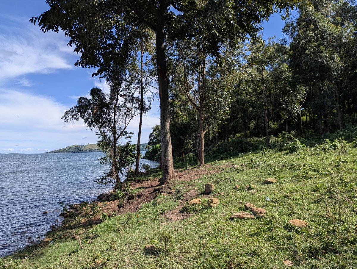 Douglas Mukwaya. tweet media