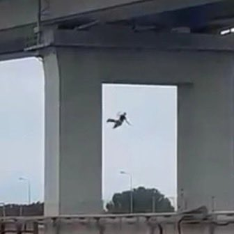 Restitutor Orientis 🇱🇮 tweet media